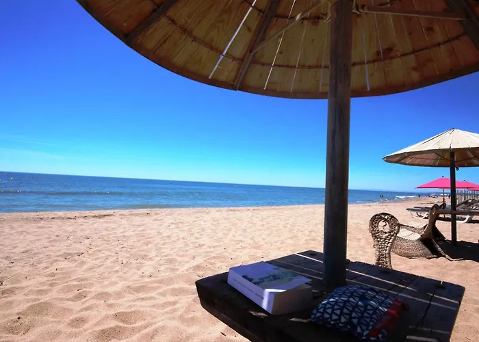 Plein Sud Semi Climatisee- 4 Couchages, En Les Ondines Avec Piscine Commune, 500 M De La Lrond28 Portiragnes